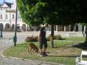 Náměstí Telč